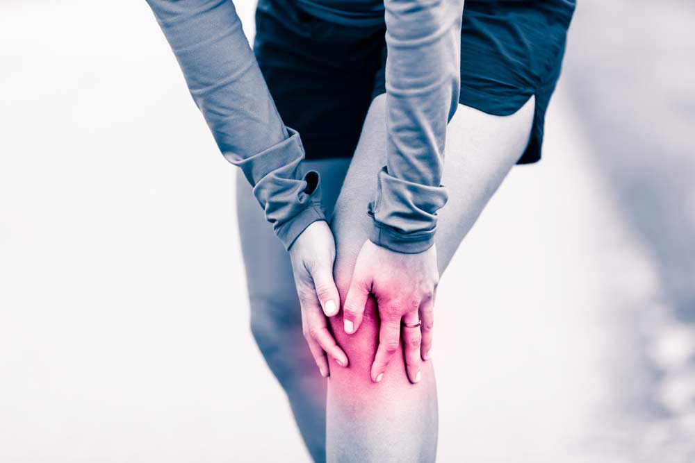 Mystery of Knee Pain
